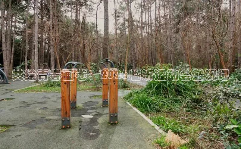 杏悦登录
